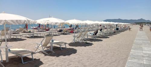 Latina Lido Apartment | Terrasalute Apartment