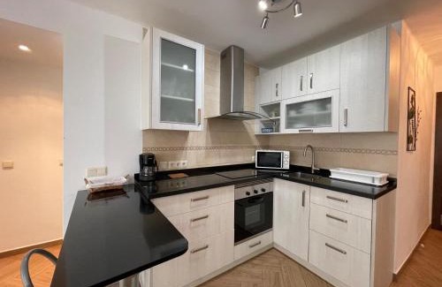 Torre del Mar Apartment | Terrasol Paseo Larios San Francisco