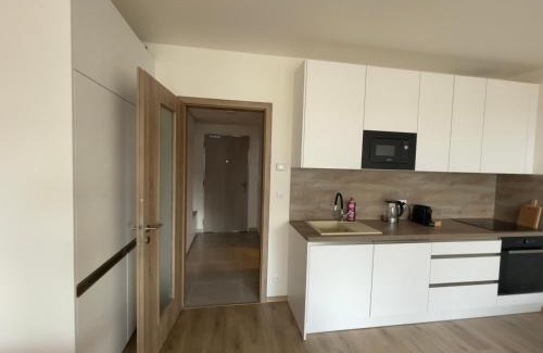 Prague 9 Apartment | Tesla
