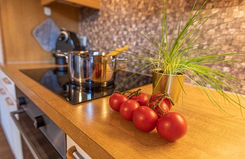 Schuttdorf Apartment | Tevini Alpine Apartments - Kitzblick