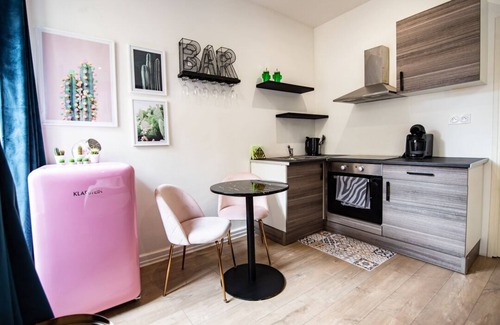 Mulhouse Apartment | Théâtre Sinne Luxury Apartment