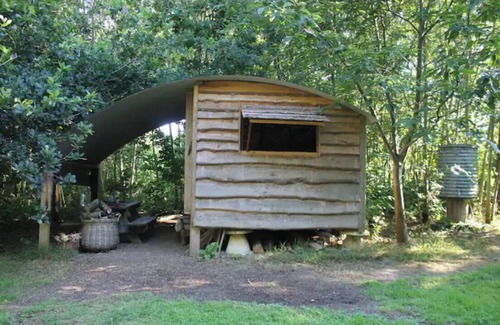 Ash Cabin | Thatched roundhouse in Somerset woodland; off-grid relaxation & campfire cooking
