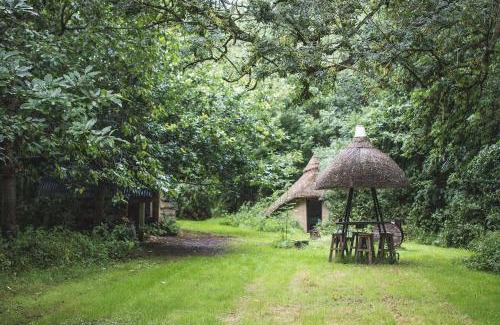 Ash Other | Thatched Roundhouse in Somerset Woodland