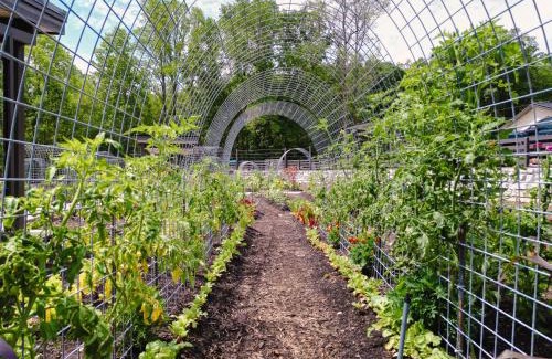 Balsam Grove House | The A-Frame - Sanctum at Valley Bear Farms Resort