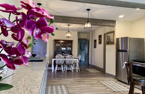 Downtown Niagara Falls House | The Aquarium Chateau - With Private Yard & Parking, Near Falls, Casino by Niagara Hospitality