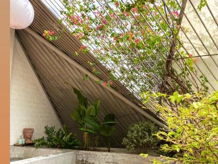 Binh Thanh House | The Art House - Notre Maison 6