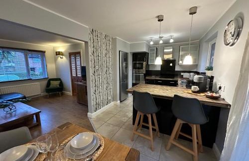 Belfast Apartment | The Beaver House