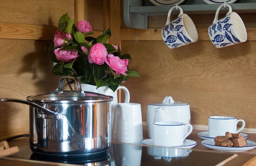 Saint Kew Cabin | The Beech Hut, A Romantic Wooden Cottage for 2, near Port Isaac