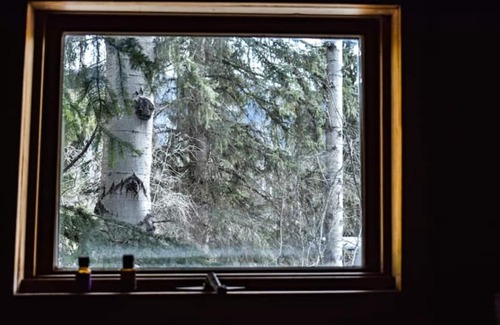 Blaeberry House | The Blaeberry Base Vintage Camper W/Outdoor Shower