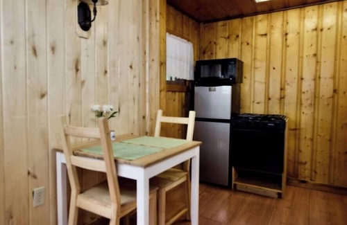 Lake City Cabin | The Blanketflower Cabin with Mountain Views