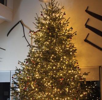 Charlton Bed & Breakfast | The Boe Rigg