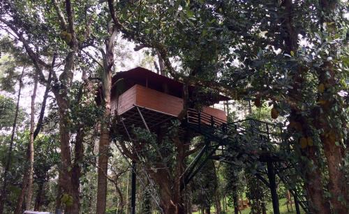 Yercaud Resort | The Brook Resorts & Spa