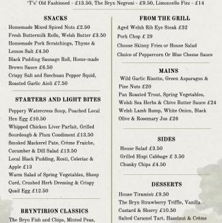 Llandderfel Hotel | The Bryntirion Inn