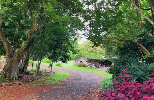 Rosebank House | The Bunkhouse- Byron Hinterland retreat