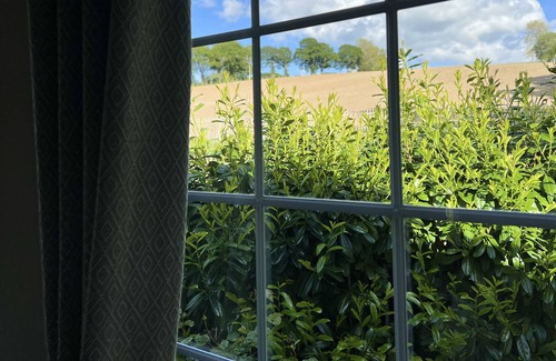 Ruthin Cabin | The Cabin at Glan Aber Modern and Cosy 2 Bed Cabin in Rural North Wales