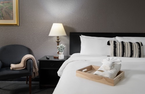Amarillo Hotel | The Cactus Cove Inn and Suites
