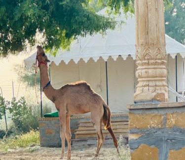 Kanoi Hotel | The Chirag Desert Camp Camp Sam and Dunes Jaisalmer