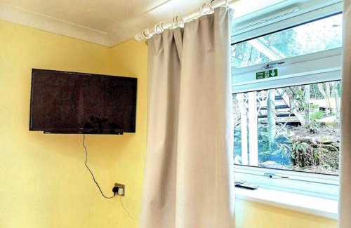 St. Blazey Apartment | The Conifers 3 Room Small but Stylish Self Catering Bedsit Flat in Nature Reserve Free Eden taxi b4 9pm no lounge