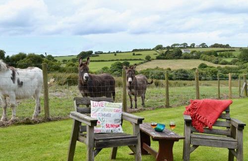 Glynarthen House | The Cottage - Osd