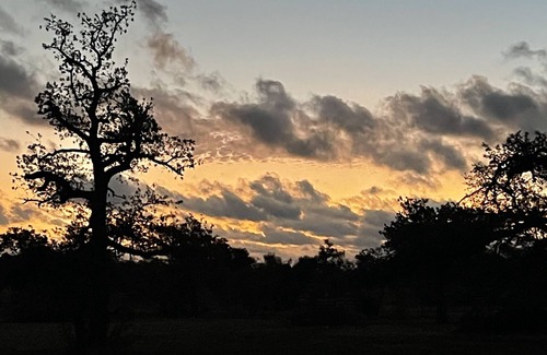 Bandera Cottage | The Cottage. Pool. Next door to Serenity House. Medina River. 3 bdrm. Sleeps 8.