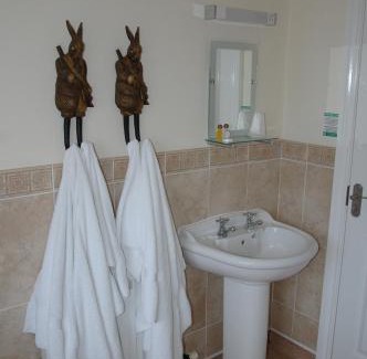 Bridgnorth Hotel | The Down Inn