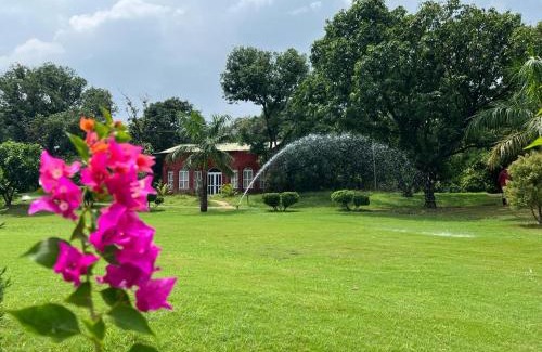 Siana Resort | The Dream Forest, Banquet & Resorts