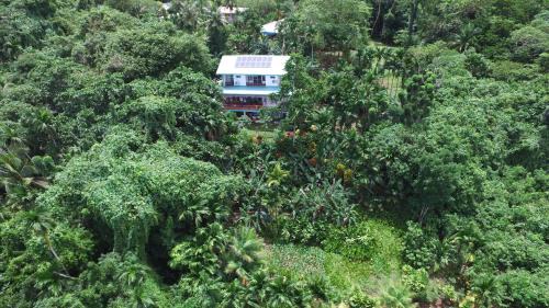 Koror Bed & Breakfast | The Dudek's Nest B&B