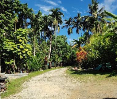 Koror Bed & Breakfast | The Dudek's Nest B&B