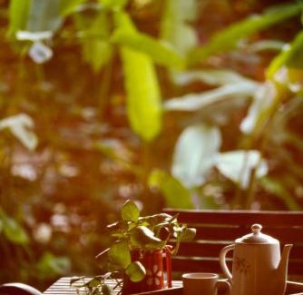 Tala House | The Flying Squirrel Bandhavgarh