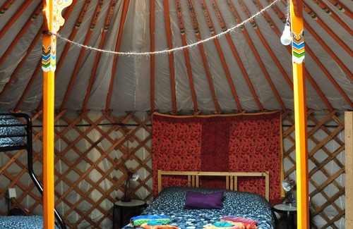 Indian Brook Resort | The Forest Yurt at Cabot Shores Wilderness Resort