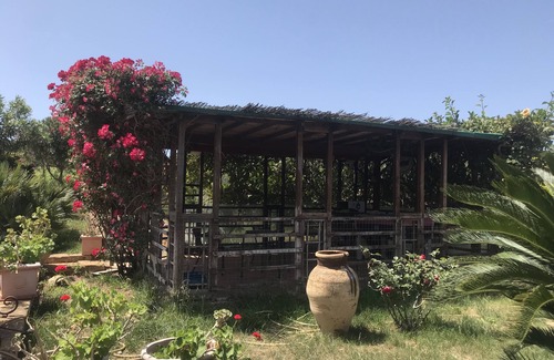 Agrigento Ski Chalet | "The Garden of Athena" suite evocative view of the Valley of the Temples.