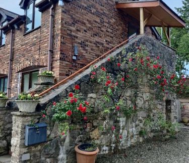 Llanbedr-dyffryn-clwyd Apartment | The Granary