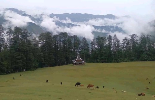 Ani House | The Great Himalayan Hikes