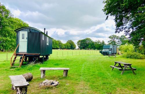Horley Other | The Green Horsebox