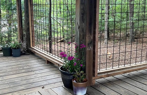 Leesville Other | The Happy Place In The Trees