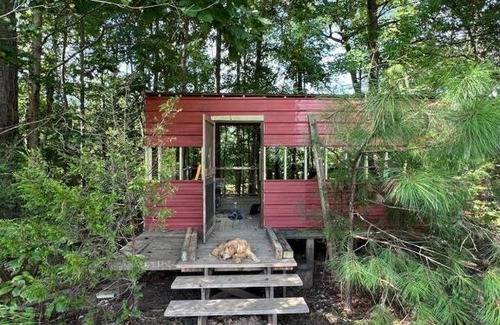 Leesville Other | The Happy Place In The Trees