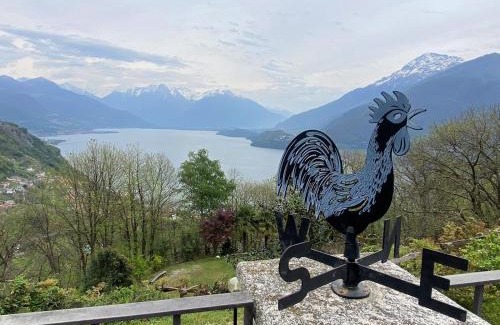 Calozzo Villa | The Happy Rooster - Villa with Big Garden