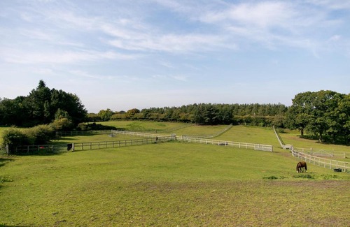 Ryton House | The Hen House