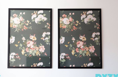 Penylan Apartment | The Hideaway Apt 3 - Roath Park - Cozy Stay - DYZYN Living