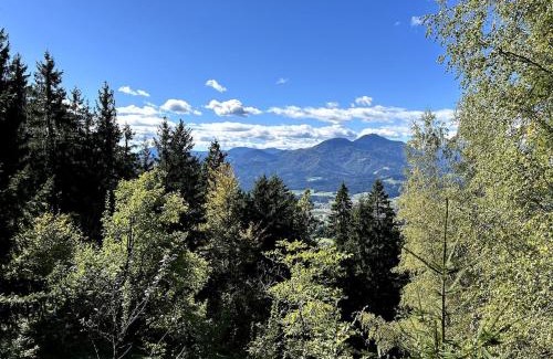 Slovenj Gradec Apartment | The house at the larssen
