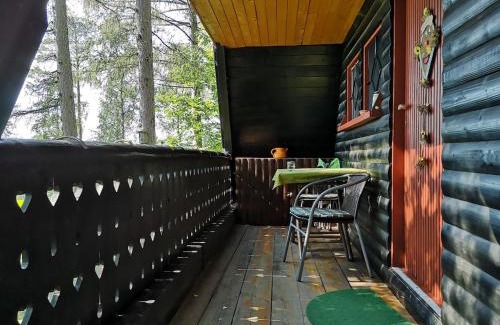 Slovenj Gradec Apartment | The house at the larssen