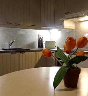 Lahti Apartment | The House