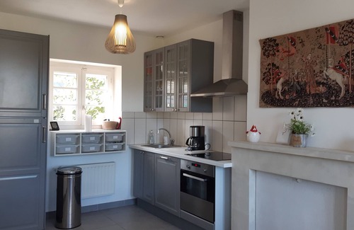 La Chapelle-sur-Loire House | The House of Chicks - Gite 3 * - 14 people - Touraine
