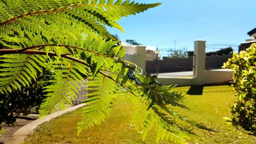 Burgersdorp House | The Hut