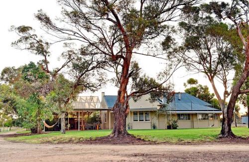 Barmera House | The Jetty House - Lake Bonney Riverland