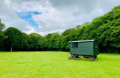 Horley Other | The Little Green Shepherds Hut