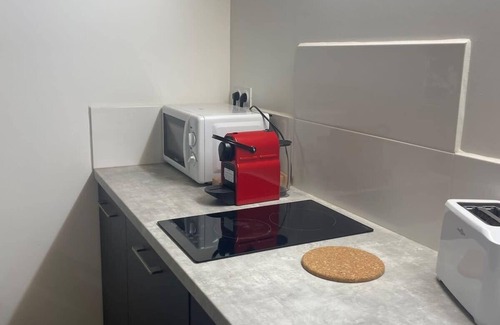 Les Poulettes Apartment | The Little Louis Fort - Cozy Studio - Gratte Ciel