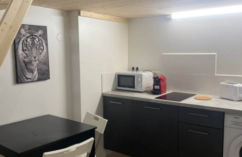 Les Poulettes Apartment | The Little Louis Fort - Cozy Studio - Gratte Ciel