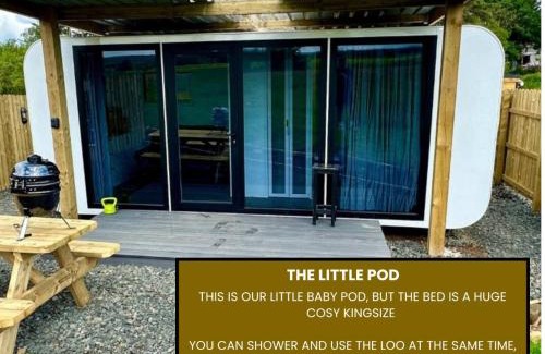Coleraine House | The Little Pod - Forest View
