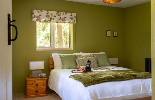 New Forest District House | The Lookout